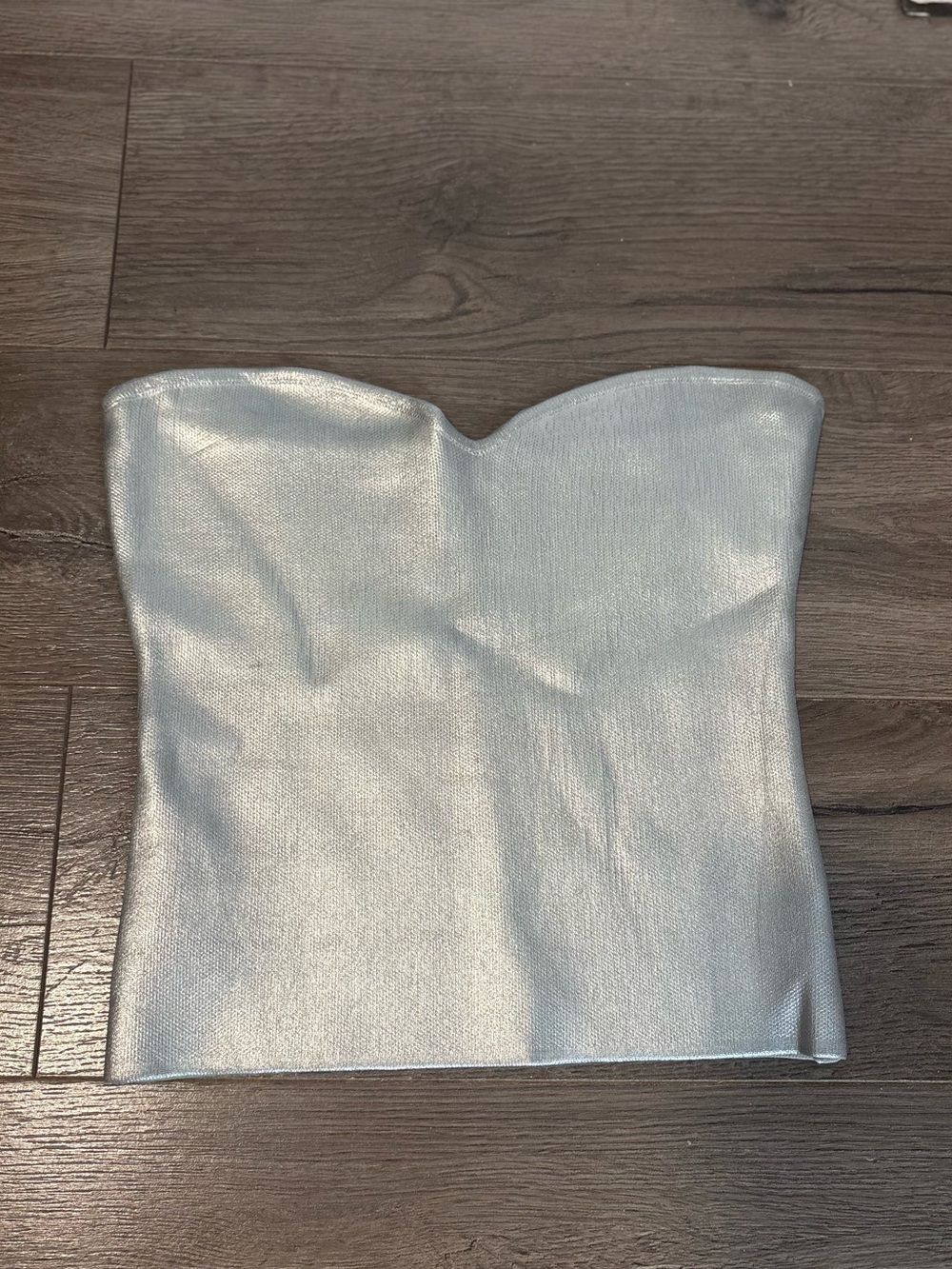 Strapless Metallic Silver Bustier Top